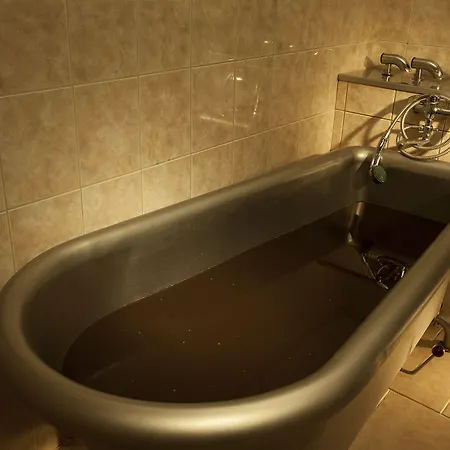 Francis Palace 4* Frantiskovy Lazne