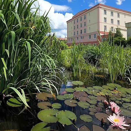 Hotel Francis Palace 4*