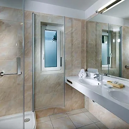 Отель Francis Palace 4*