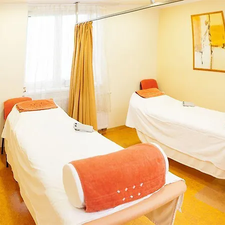 Hotel Francis Palace Františkovy Lázně