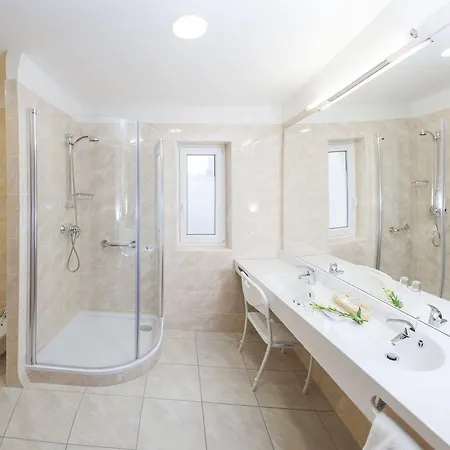 Hotel Francis Palace 4*