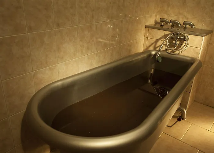 Francis Palace 4* Františkovy Lázně