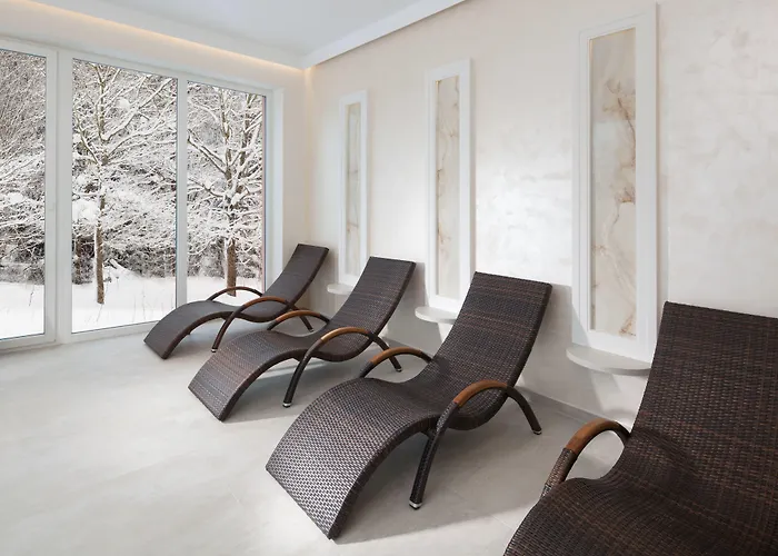 Francis Palace 4* Františkovy Lázně