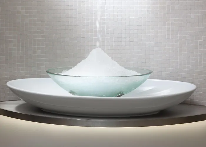 Hotel Francis Palace 4*