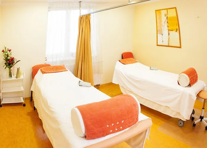 Hotel Francis Palace