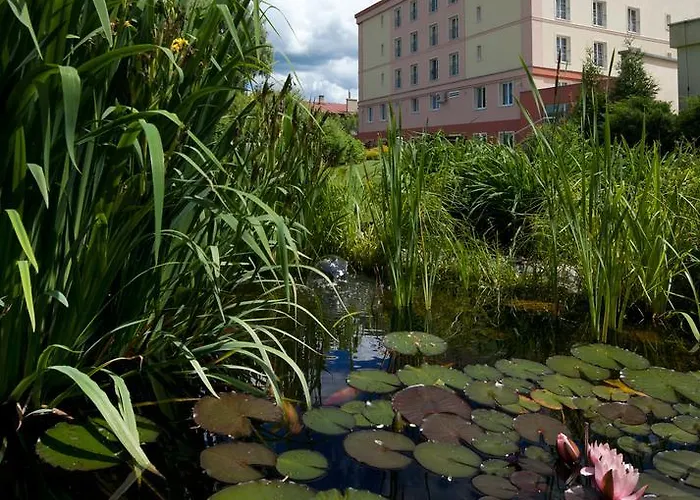 Hotel Francis Palace