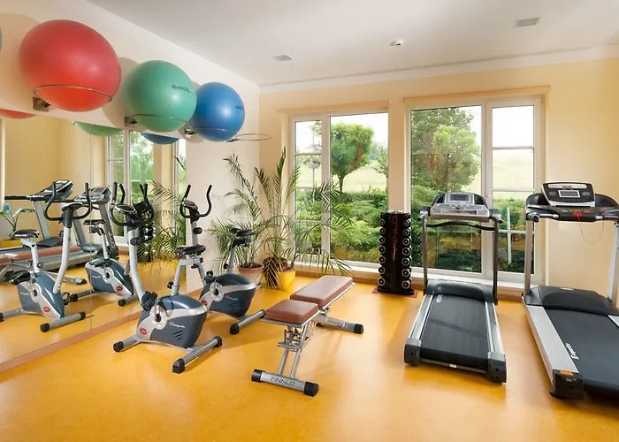 Francis Palace 4* Františkovy Lázně