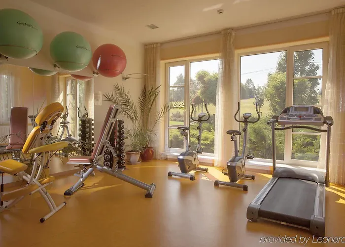 מלון Francis Palace Františkovy Lázně